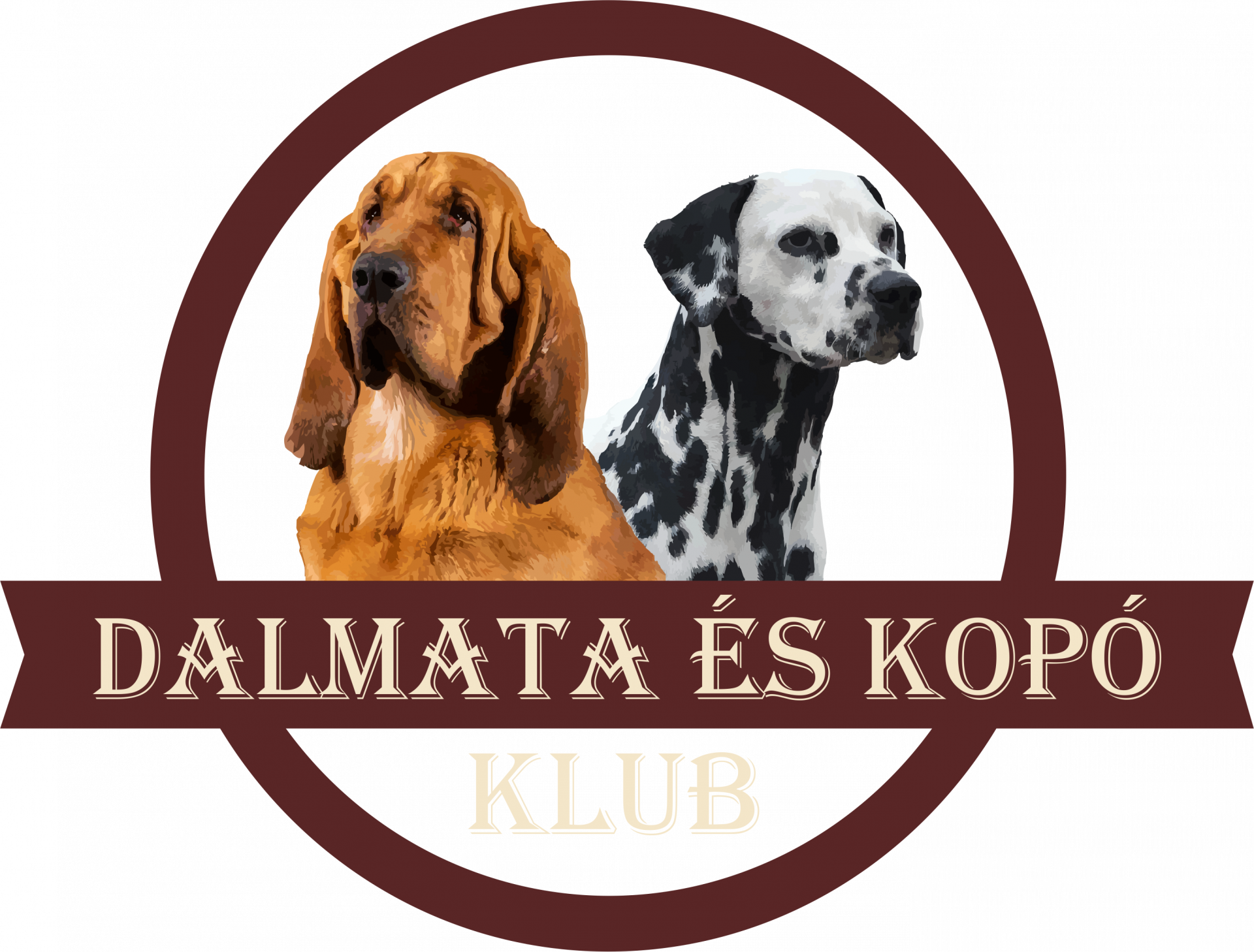alomterv készítés weboldal készítés ACWebdesign